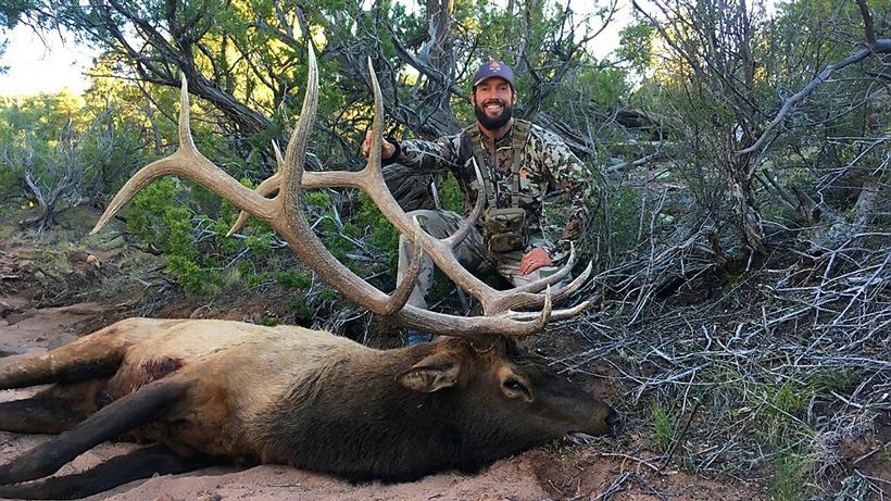Arizona elk 14