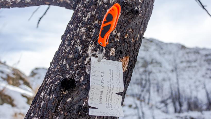 Havalon piranta edge knife