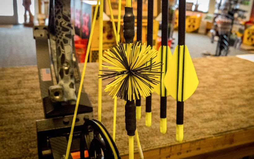 Cat whiskers installed on string