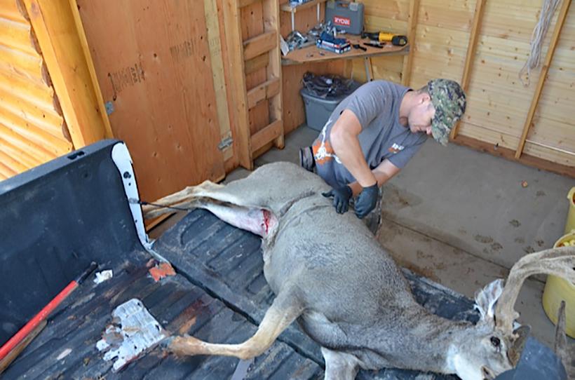 Cut one circle around body