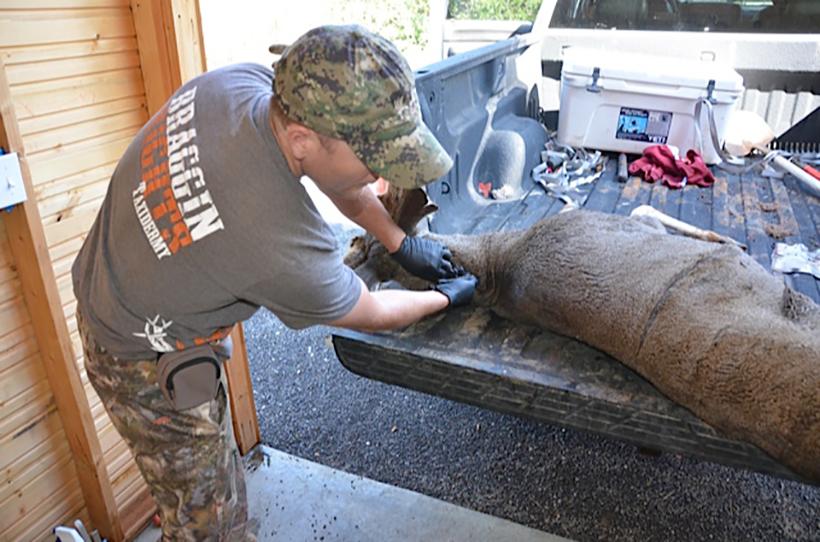 Cut two down the back