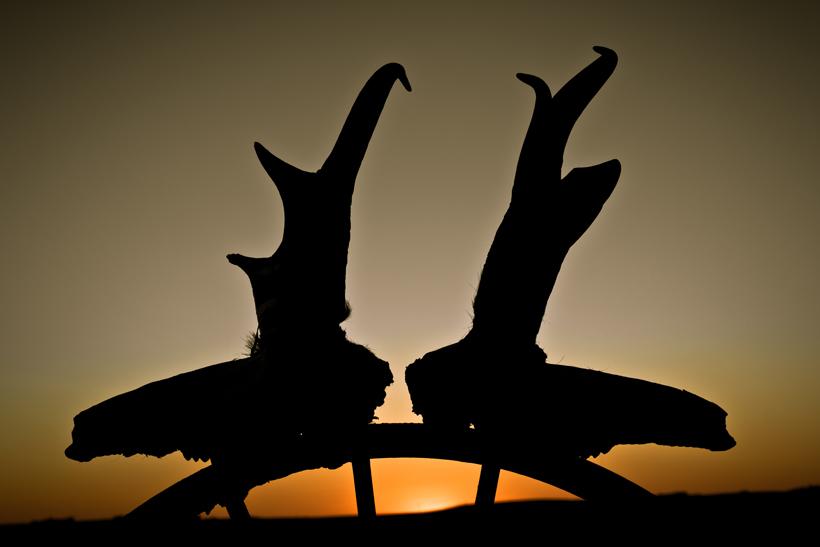 Two montana archery antelope