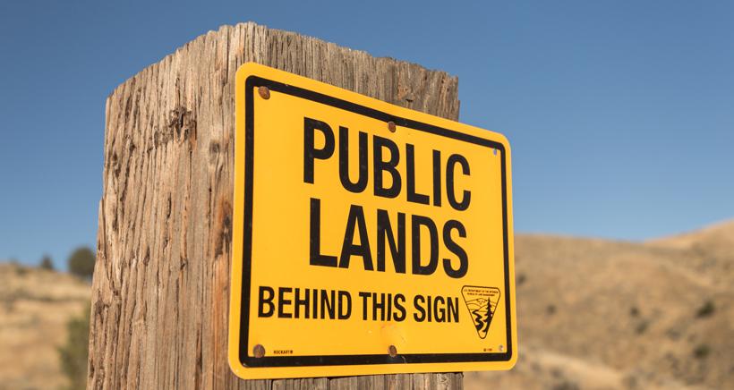 Public land
