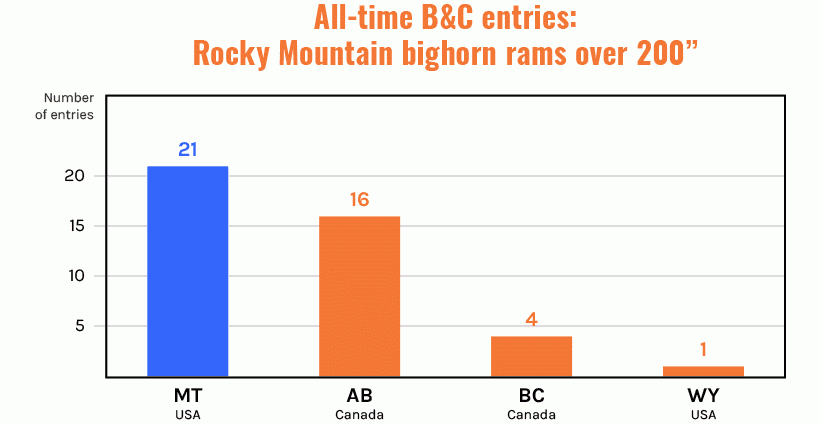 Rocky bighorn rams over 200 inches all time