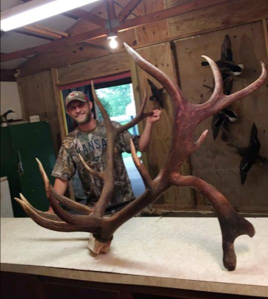 Potential state record elk shot in kansas