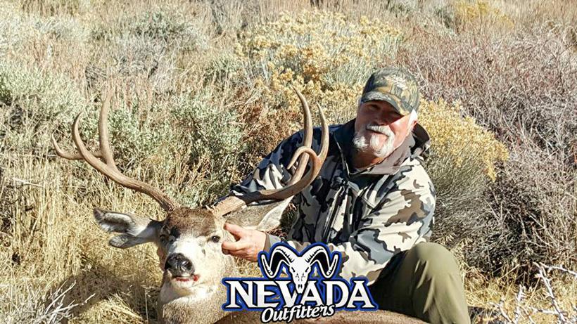 Nevada mule deer buck taken with nevada outfitters