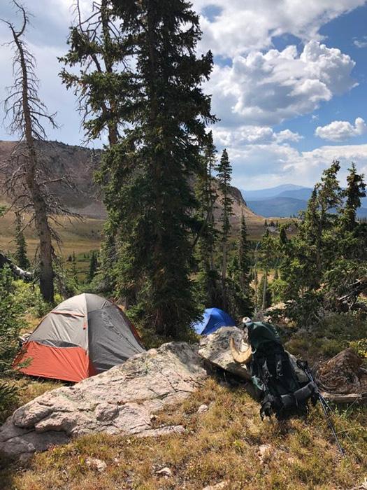 Bighorn sheep and meat back at camp