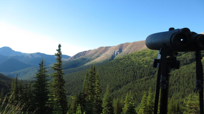 Quality optics for glassing sheep