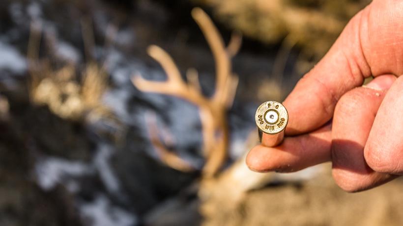 Mule deer buck taken with 300 win mag rifle