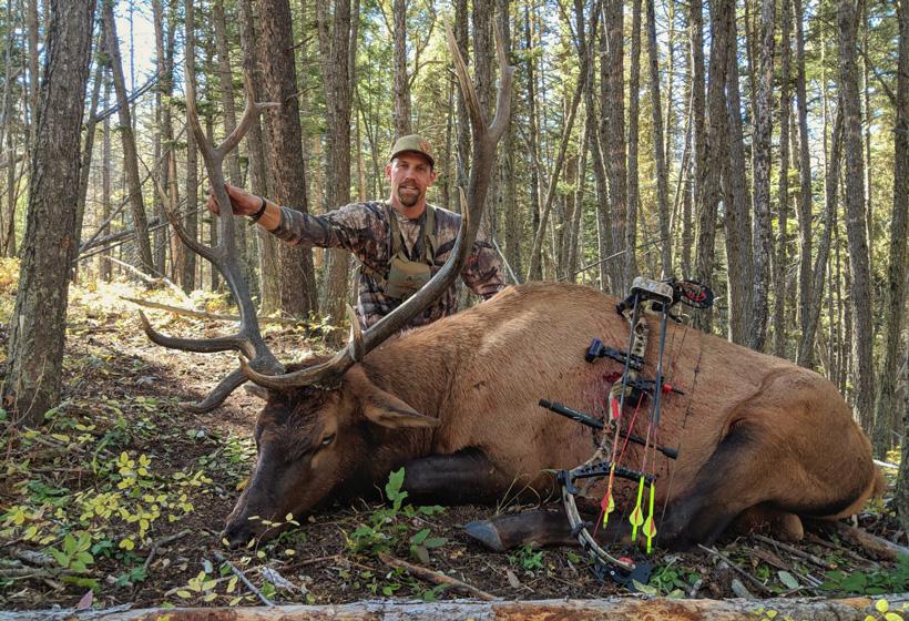 Josh volinkaty with his 2018 montana archery elk