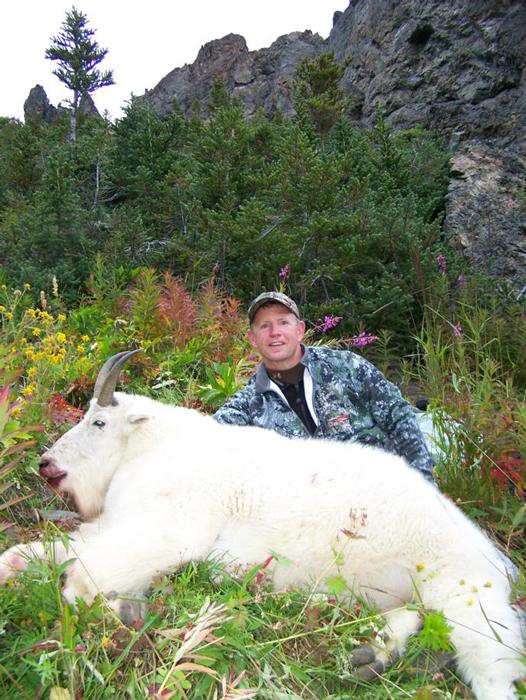 APPLICATION STRATEGY 2015: Colorado sheep, moose, goat - 2d