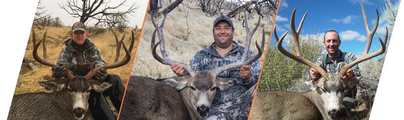 How to apply for Nevada’s 2018 mule deer guided draw - 6d